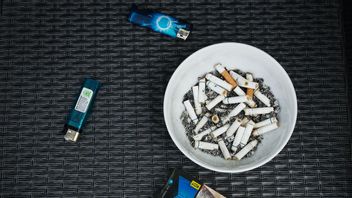 Setiap Hari 14 Warganya Tewas Akibat Merokok, Selandia Baru Larang Generasi Muda Beli Rokok Seumur Hidup