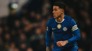Enzo Fernandez Ungkapkan Kedatangan Rosenior Beri Chelsea Lebih Banyak Kebebasan dalam Serangan