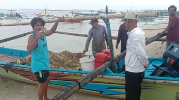 Nelayan Hilang di Perairan Pesisir Barat Lampung Ditemukan Tak Bernyawa 