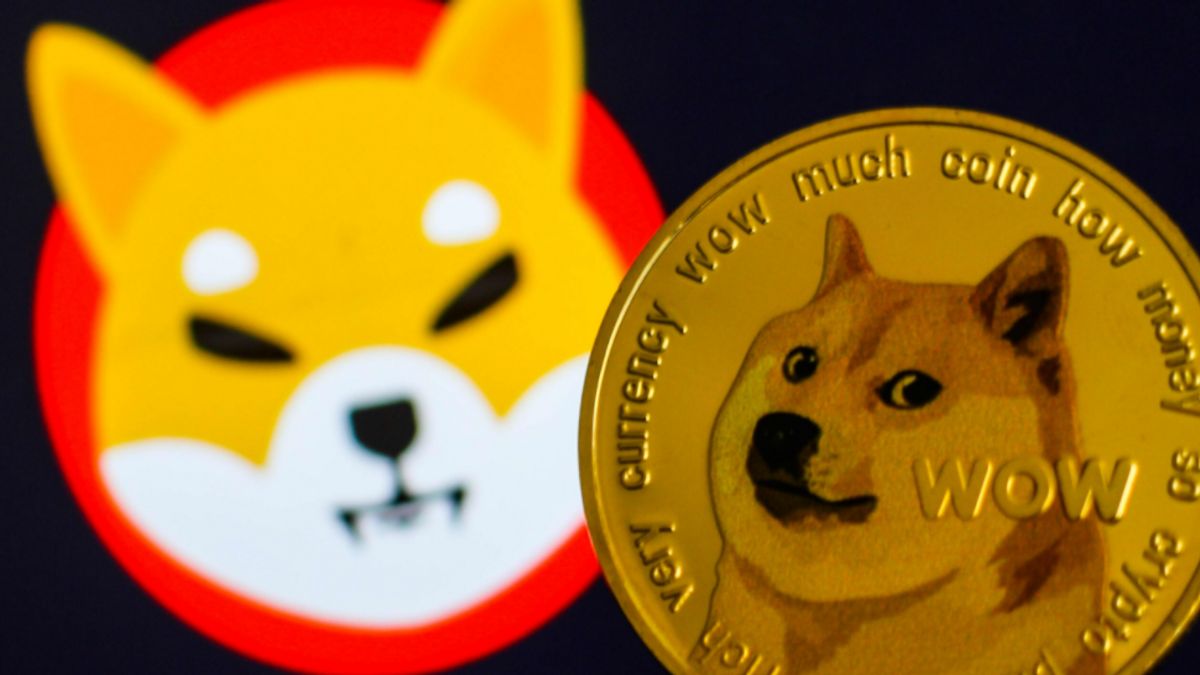 Shiba Inu Immediately Launches Shibarium, Good News For The Shib Army, Here!