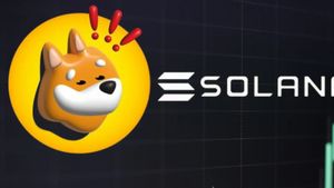 Solana's Memecoin Creator Involved In Cheating Games In Crypto Market