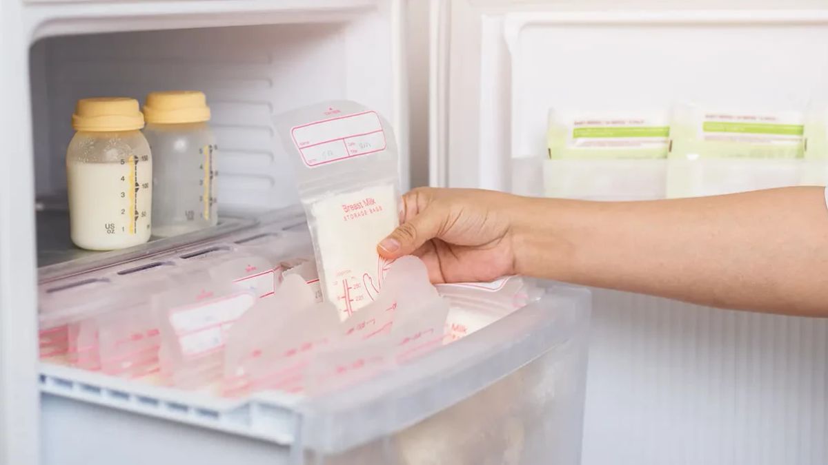 How To Save Asi In The Refrigerator To Last Long And Stay Safe