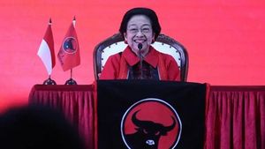 プラボウォの会議コードを投げ、メガワティはPDIP議会に先立って保証が必要であると考えられています