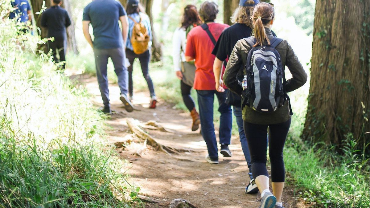 Penelitian Ungkap Berjalan Kaki 2.000-4.000 Langkah Sehari Mampu Mengurangi Risiko Kematian