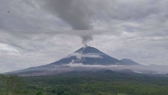 ronyme : L'état de réponse d'urgence à l'éruption de Semeru prolongé jusqu'au 2 décembre