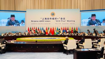Sugiono : L'esprit de Shanghai et l'esprit de Bandung sont de plus en plus importants dans un monde plein de rivalité
