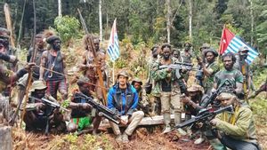 Pilot Susi Air Masih Ditawan KKB Papua, Pangdam XVII Cendrawasih: Pembebasan Kedepankan Komunikasi