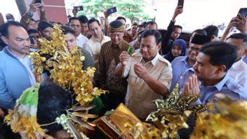Prabowo Commits To Continue Jokowi's Downstream Policy