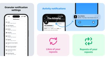 Bluesky lance la dernière fonctionnalité de notification pour un contrôle accru