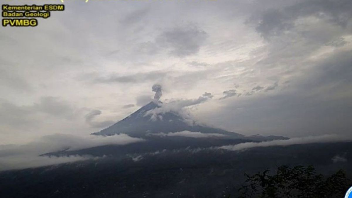 Gunung Semeru Beberapa Kali Erupsi dengan Tinggi Letusan Hingga 1 Km