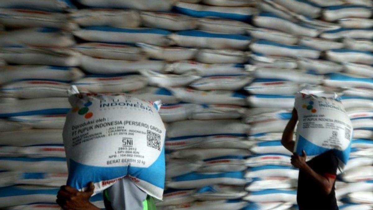 Subsidy Fertilizer Allocation Increases To 9.55 Million Tons In 2024, Here Are The Details