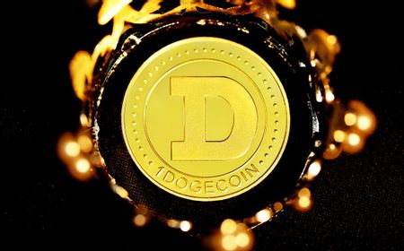 Dogecoin Runtuh, Nilainya Turun 30 persen Sebulan Terakhir