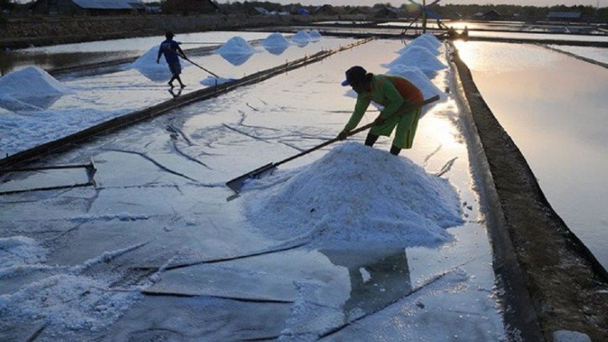 Anggota DPRD dan Himpunan Petambak Jatim Desak Khofifah Tolak Impor Garam