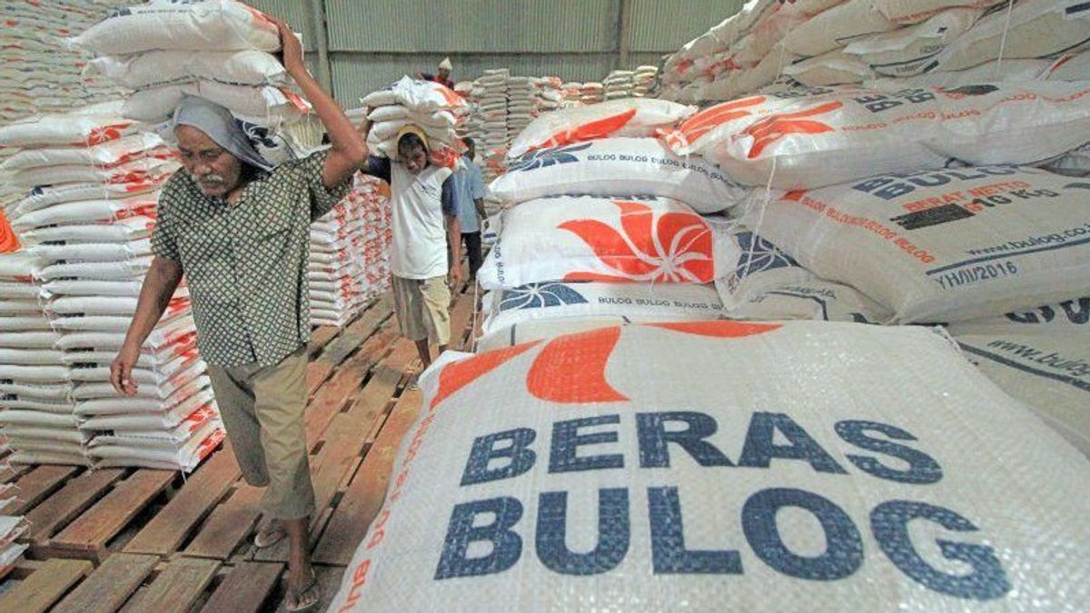 Bulog Bakal Lakukan Transformasi Kelembagaan, Berada Langsung di Bawah Presiden