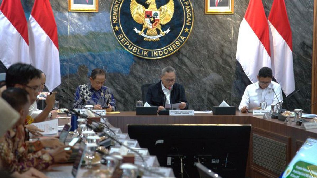 Pemerintah Percepat Bangun PSEL dalam 2 Tahap Berbasis Aglomerasi