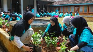 Planting Trees Becomes A Real Action To Apply A Sustainable Lifestyle