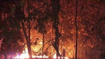 バルラン国立公園は森林火災により一時的に閉鎖