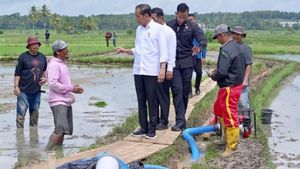 Kunker à Bone Sulsel, Jokowi Revue la distribution d’aide à la pompe d’irrigation