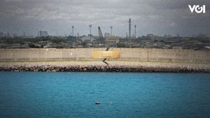 Giant Sea Wall: Solusi atau Masalah Baru bagi Pantura Jawa?