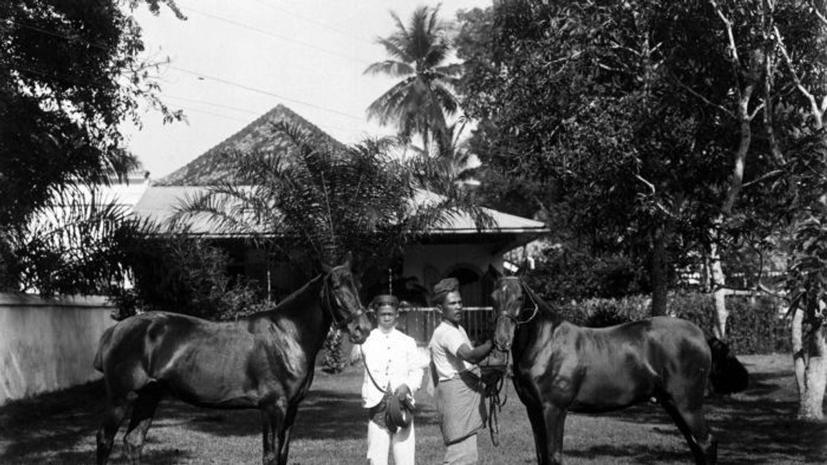 Entertainment For The Elite Batavia Of The Dutch East Indies: Horse Racing At Koningsplein Field, Now Named Monas Field