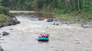 Le Frisson Du Rafting à La Rivière Serayu