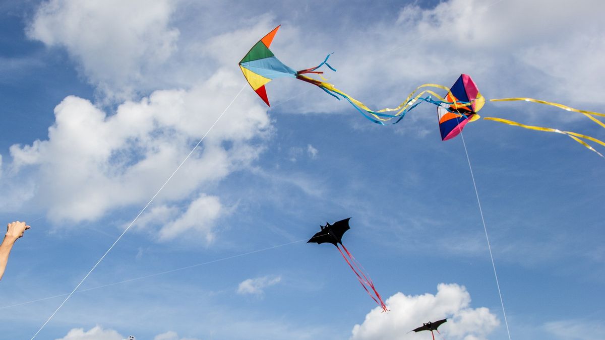 絶滅危惧種のフライト、ダンラヌ・スパディオは凧を演奏することの禁止を促進します