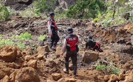 Unit Anjing Pelacak Diterjunkan Bantu Pencarian Korban Longsor di Lumajang