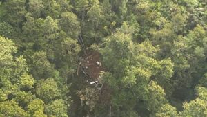 Helikopter yang Hilang Kontak Ditemukan Jatuh di Hutan Sekadau Kalbar