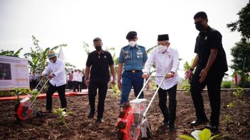Vice President Ma'ruf Amin Plants Corn And Soybeans In Purwakarta