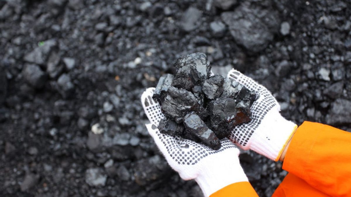 財務省、鉱物・石炭の監督を強化