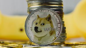 Hold 870.019 Dogecoin Selama 11 Tahun, Orang Ini Jadi Triliuner