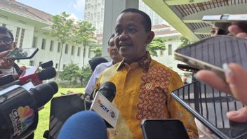 电力部门的投资下降，Bahlil希望与PLN老板见面