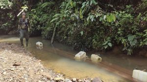 Habitat des tigres de Sumatra menacé, le ministère du Logement enquête sur la mafia du bois à TN Bukit Tiga Puluh