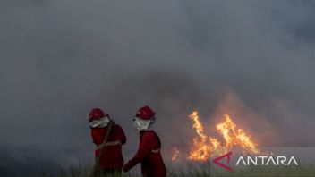 Titik Panas Bertambah, Luas Kebakaran Hutan dan Lahan di Sumsel Meningkat pada 2022
