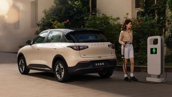 BYD Dolphin vient d’un nouveau concurrent de Geely Geome Xingyuan, spécifications initiales