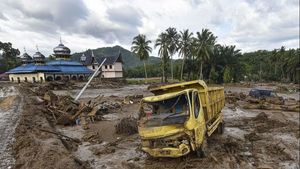 Ide Patungan Beli Hutan adalah Bentuk Kekecewaan Publik terhadap Pemerintah