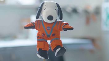Bukan Astronot, NASA Justru Bawa Boneka Snoopy ke Bulan Pada Misi Artemis I