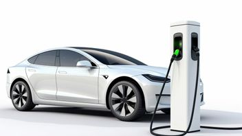 مصنع كاراوانغ للبطاريات الكهربائية 15 جيجاوات في الساعة يمكن أن يصل إلى 300،000 سيارة كهربائية