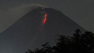 Guguran Lava Meluncur 43 Kali dari Gunung Merapi Selama Sepekan