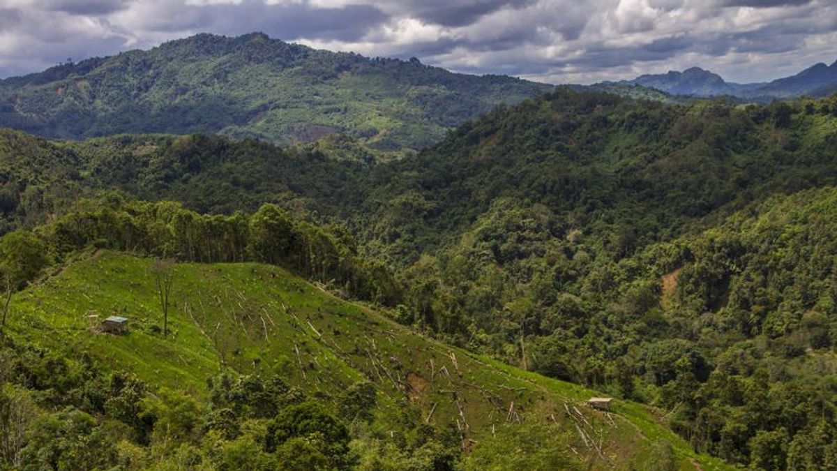 Pemprov Kaltim Usulkan Perubahan 640.864 Hektare Kawasan Hutan ke KLHK