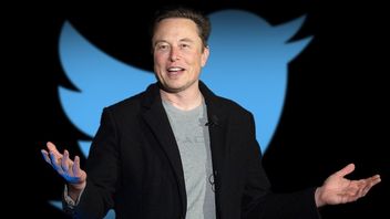讲述了Twitter收购后的裁员和Cita-Chita Elon Musk的故事