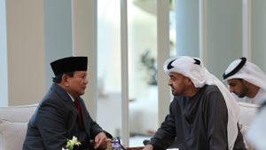 Meeting MBZ, Prabowo Promotes Defense Cooperation With The UAE