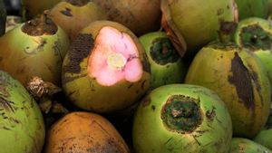 5 Benefits Of Coconut Water, Good For The Body As Long As It's Not Consumed Excessively