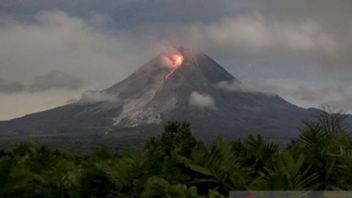 Mount Merapi Launches Incandescent Lava 15 Times On Tuesday Morning, Alert Level