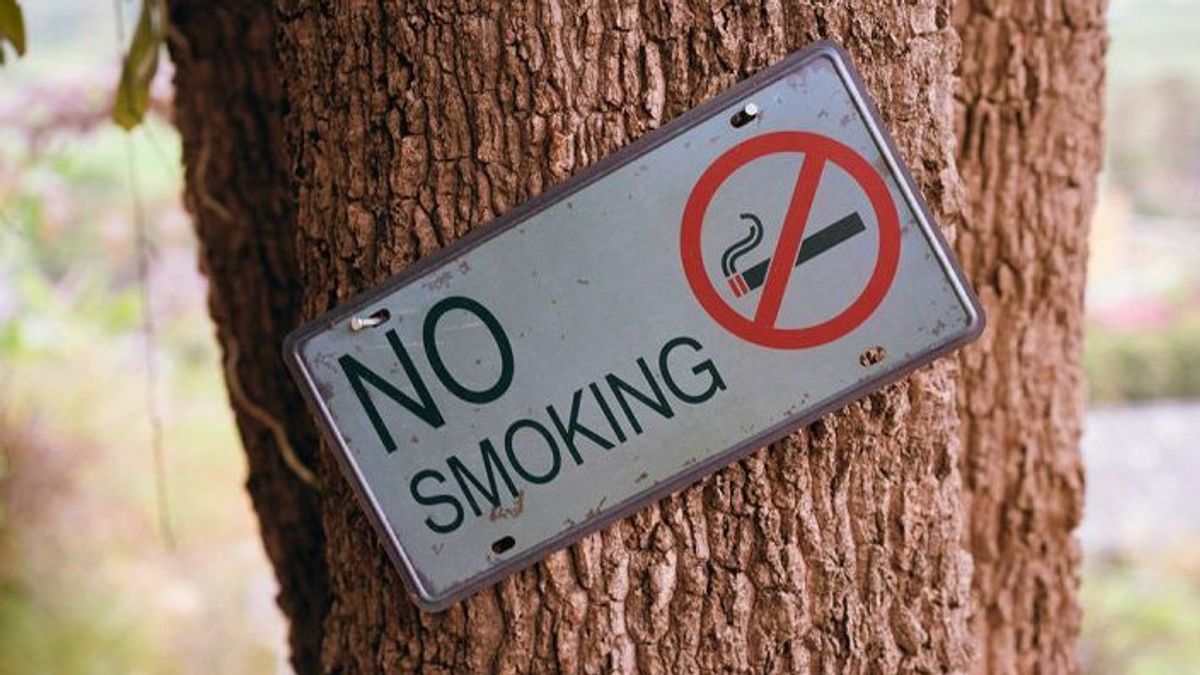 Academics Consider PP Health To Reduce The Number Of Smokers Among Teens