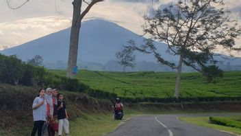    Badan Geologi: Gunung Dempo Berubah Bentuk Lebih Tinggi dalam Sepekan