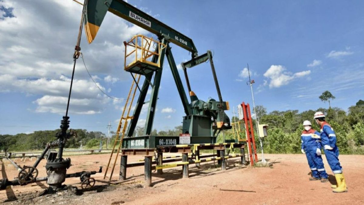 加里曼丹有石油和天然气田的发现,SKK Migas确保2027年投产