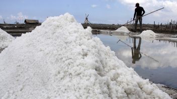 Asked By A Politician From Gerindra, KKP Revealed The Reasons For Importing 3 Million Tons Of Salt