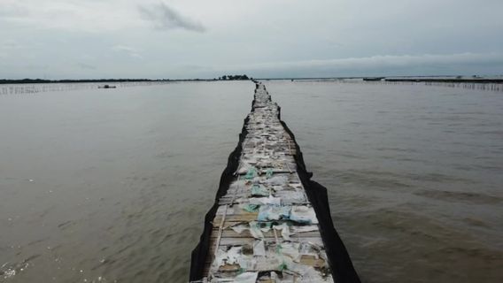 Nelayan Saksikan Puluhan Orang Pasang Pagar Laut Tangerang