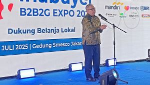 Masyarakat Kurang Kenal Produk Lokal, Kementerian UMKM Akui Minimnya Promosi